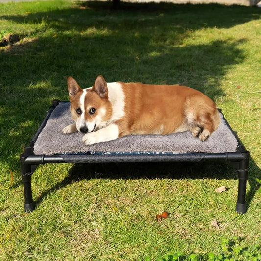 Outdoor Elevated Dog Bed