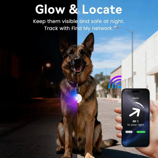 2-in-1 GPS Tracker & Dog Light