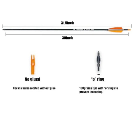30 Carbon Arrows for Target Practice, Hunting