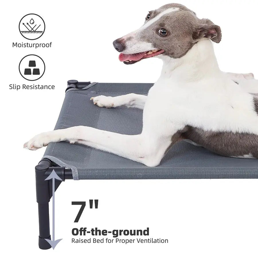 Large Dog Elevated Outdoor Dog Bed