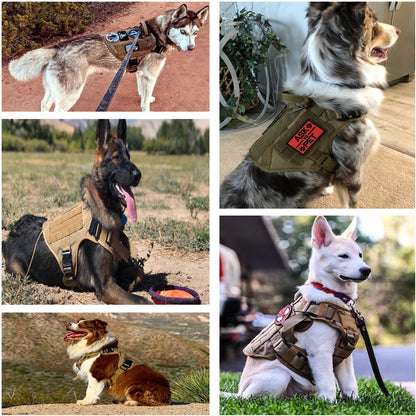 Military Large Dog Harness Collar and Leash