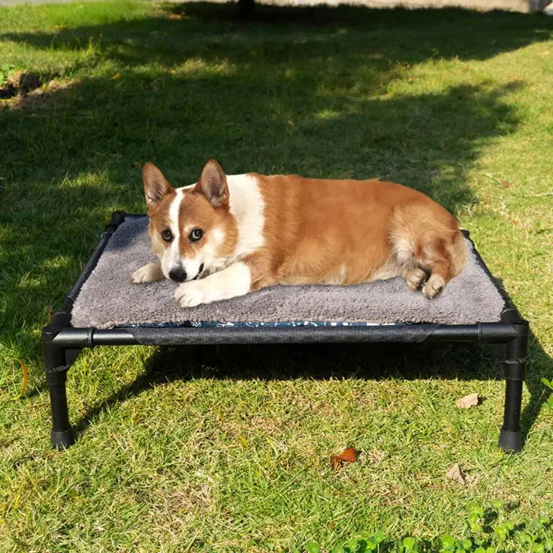 Outdoor Elevated Dog Bed
