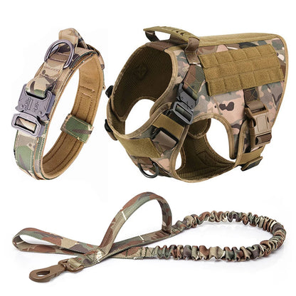 Large Dog Harness, Collar and Leash Set