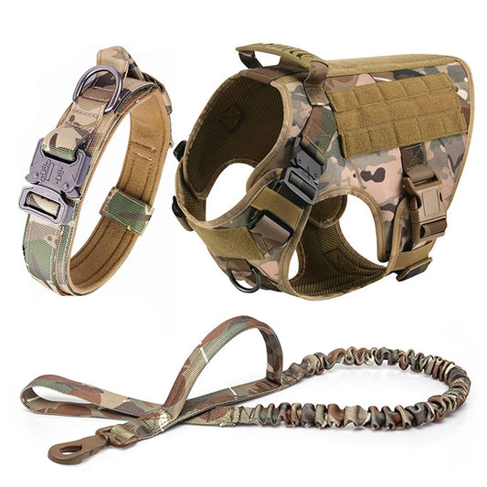 Large Dog Harness, Collar and Leash Set