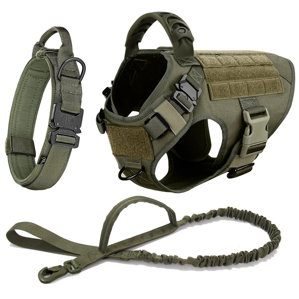 Large Dog Harness, Collar and Leash Set