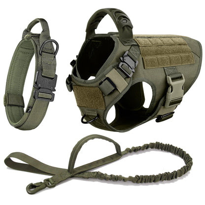 Large Dog Harness, Collar and Leash Set