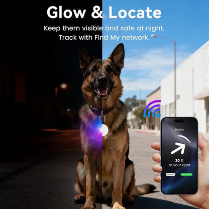 2-in-1 GPS Tracker & Dog Light