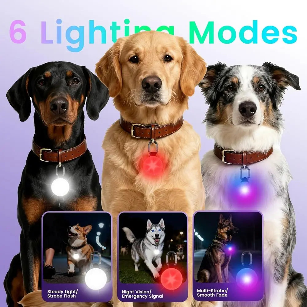 2-in-1 GPS Tracker & Dog Light