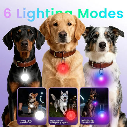 2-in-1 GPS Tracker & Dog Light