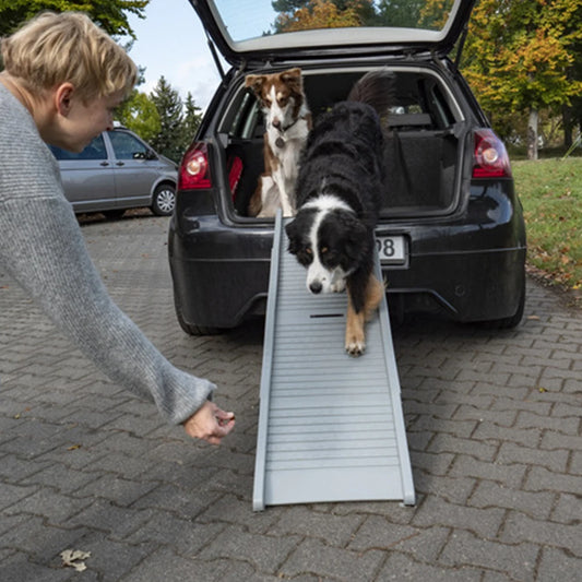 Folding Portable Pet Ramp