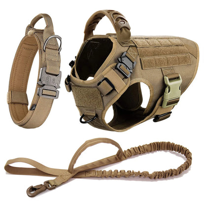 Large Dog Harness, Collar and Leash Set