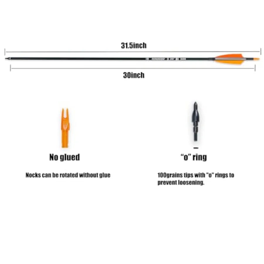 30 Carbon Arrows for Target Practice, Hunting