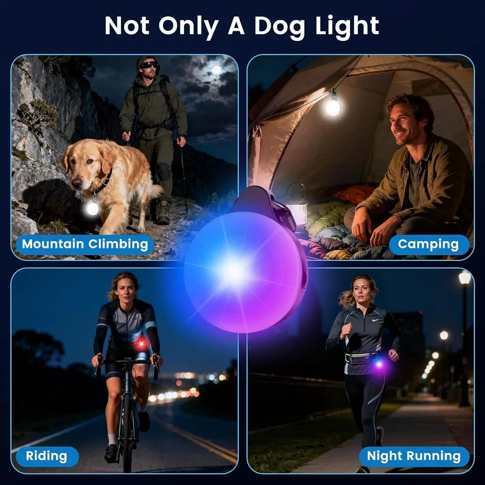 2-in-1 GPS Tracker & Dog Light