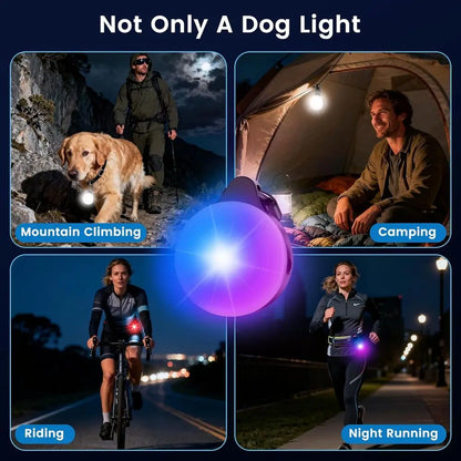 2-in-1 GPS Tracker & Dog Light
