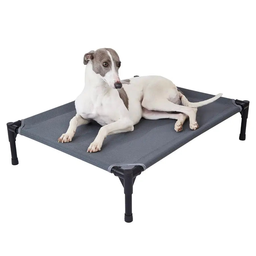 Large Dog Elevated Outdoor Dog Bed