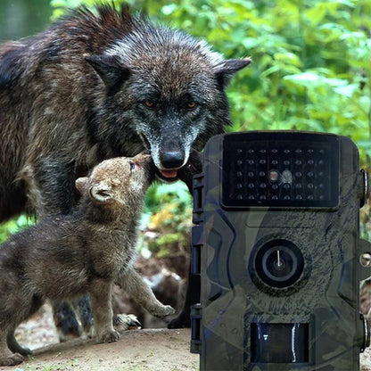 Waterproof/Motion Activated Trail Camera