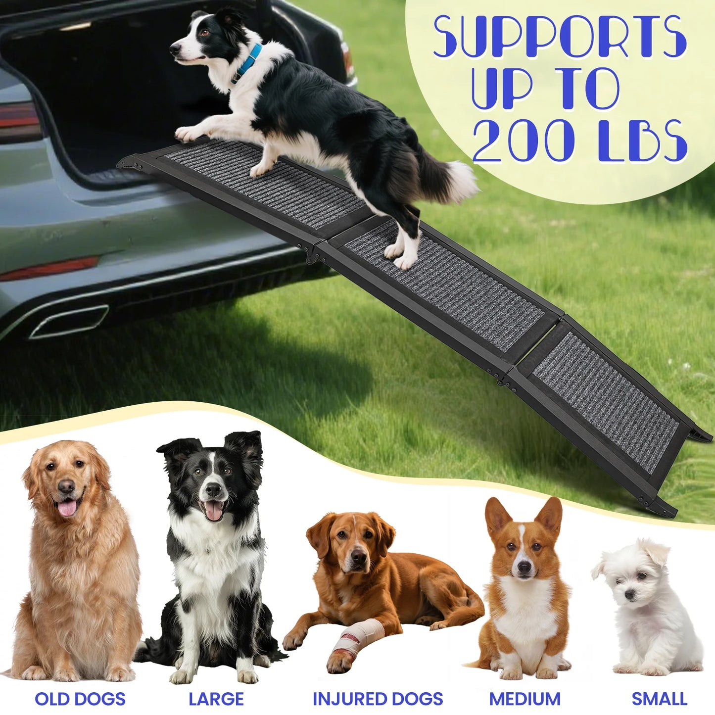 Folding Dog Ramp