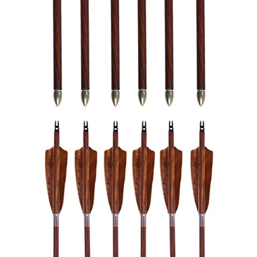Archery 31-Inch Carbon Hunting Arrows w/4-Inch Turkey Feather Fletching