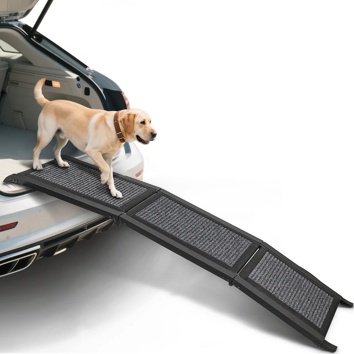 Folding Dog Ramp
