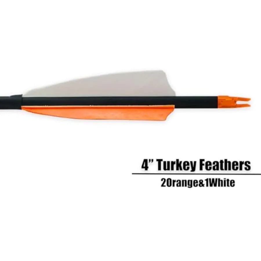 30 Carbon Arrows for Target Practice, Hunting