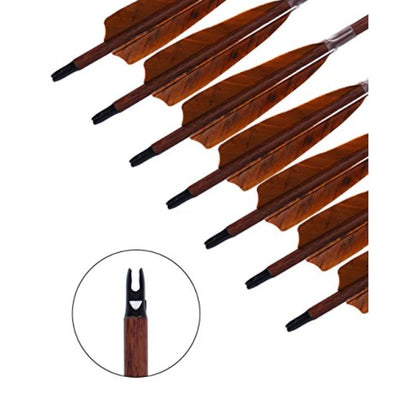 Archery 31-Inch Carbon Hunting Arrows w/4-Inch Turkey Feather Fletching