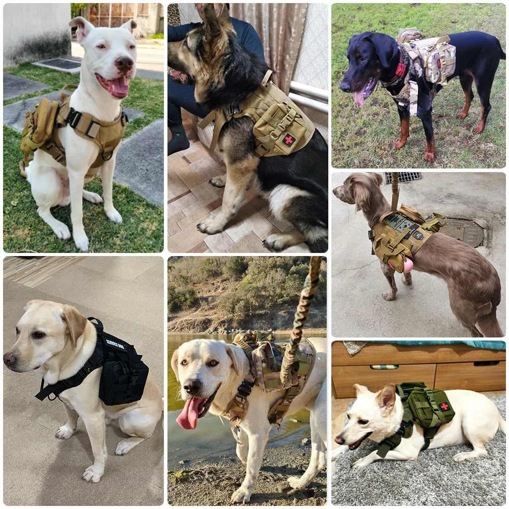 Military Large Dog Harness Collar and Leash