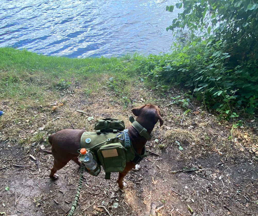 Military Large Dog Harness Collar and Leash