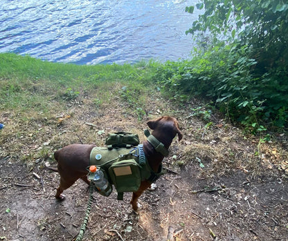 Military Large Dog Harness Collar and Leash