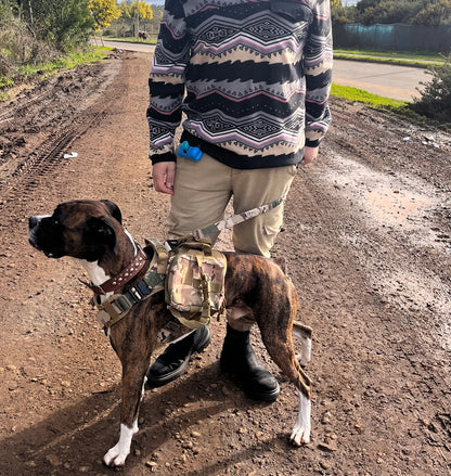 Military Large Dog Harness Collar and Leash