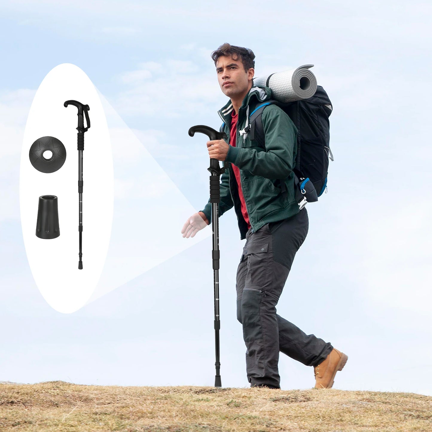Hiking/Walking Pole