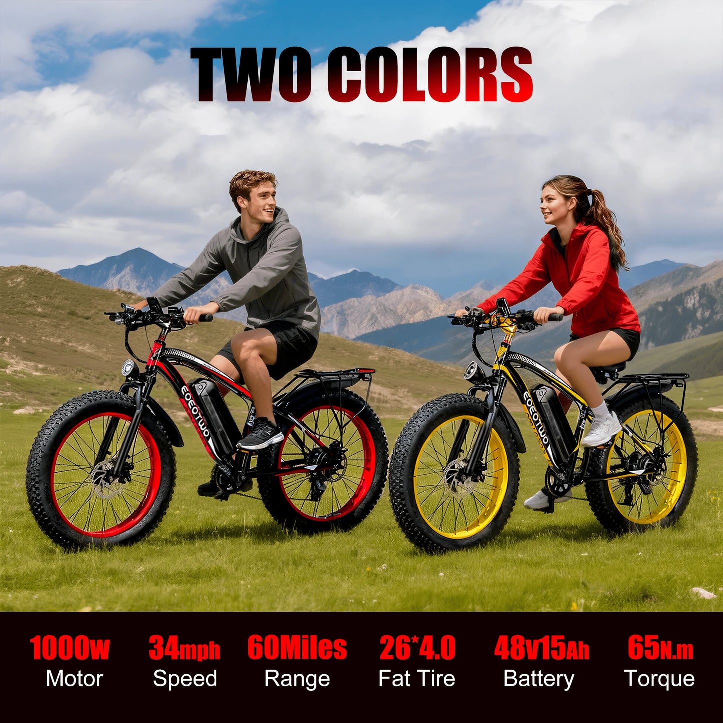 Adult 26" Fat Tire 1500W Peak Motor Electric Bicycle