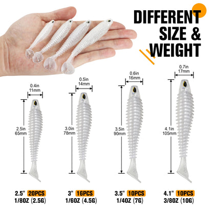 Paddle Tail Swimbaits