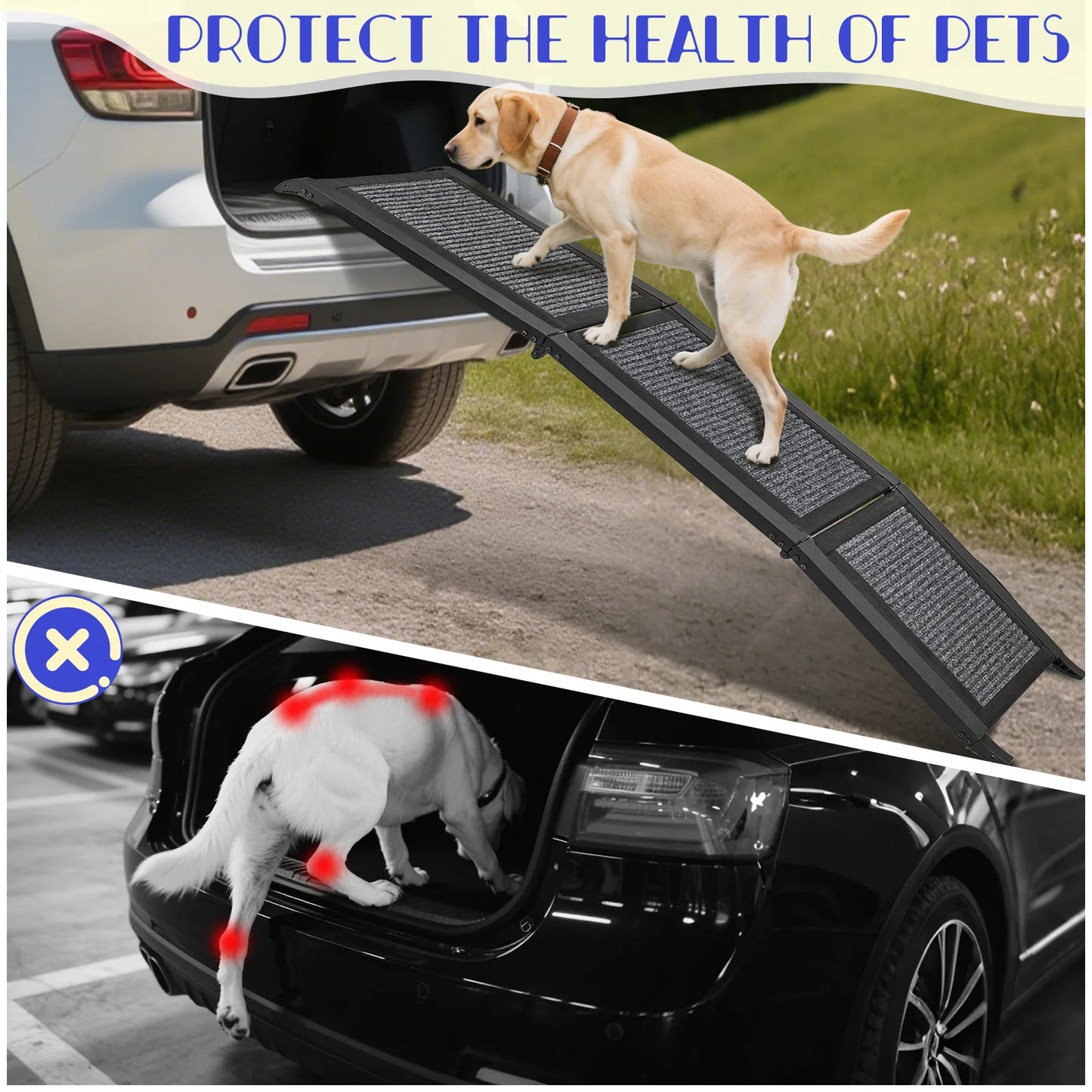 Folding Dog Ramp