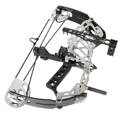 Compound Dual-use Bow Set