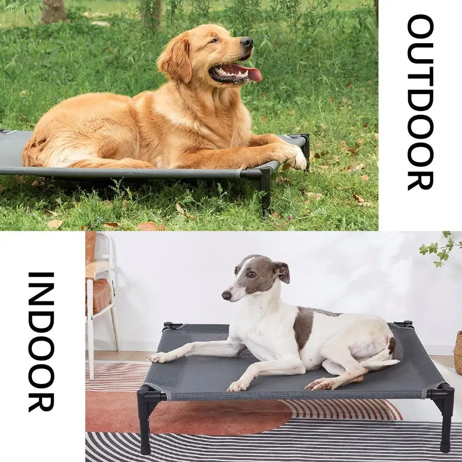 Large Dog Elevated Outdoor Dog Bed