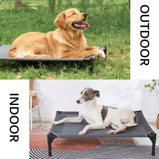 Large Dog Elevated Outdoor Dog Bed