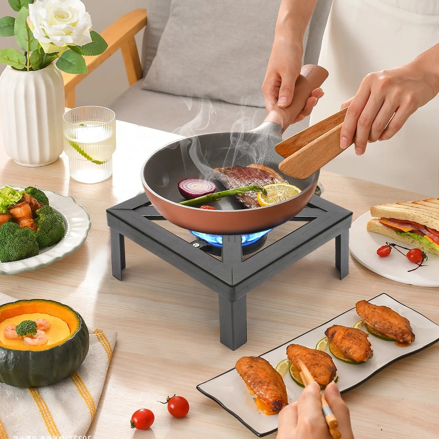 Outdoor Gas Stove