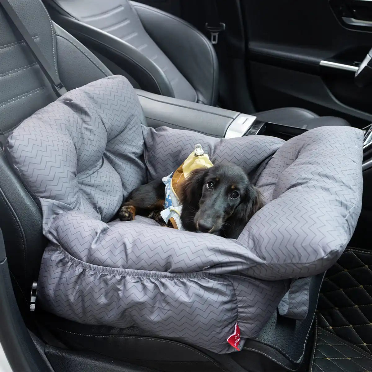 Dog Booster Seat with Handles and Safety Belt