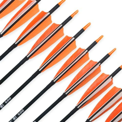 30 Carbon Arrows for Target Practice, Hunting